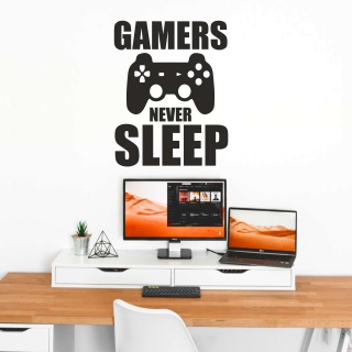 gamers-never4