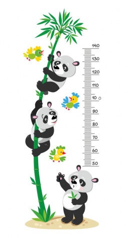 panda-bears-measure